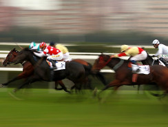 What Are The Different Horse Races?