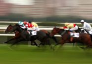 What Are The Different Horse Races?